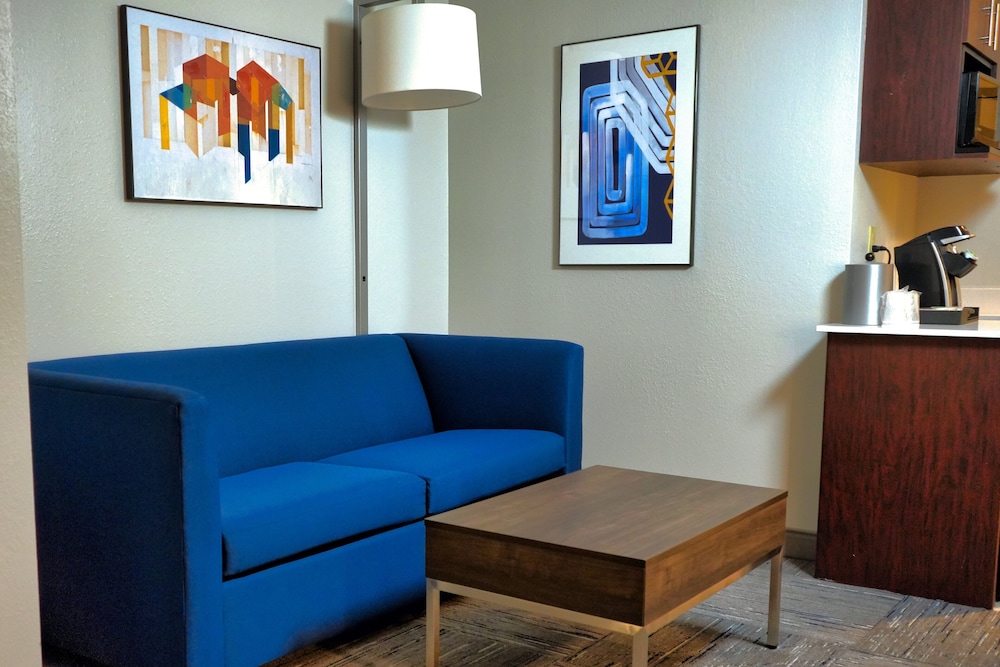 Holiday Inn Express Hotel & Suites Tampa Northwest Oldsmar by IHG - photo 23