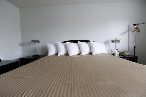 Plaza Motel Clyde - photo 10
