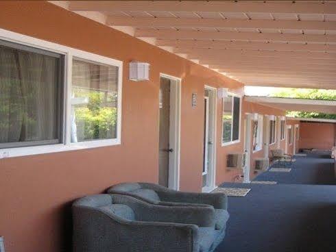 El Toro Motel - photo 7