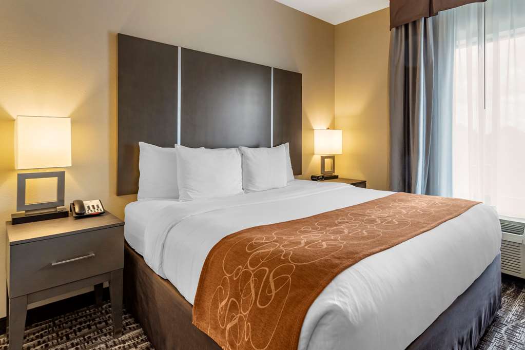 Comfort Suites Near Sam Houston Race Park - photo 11