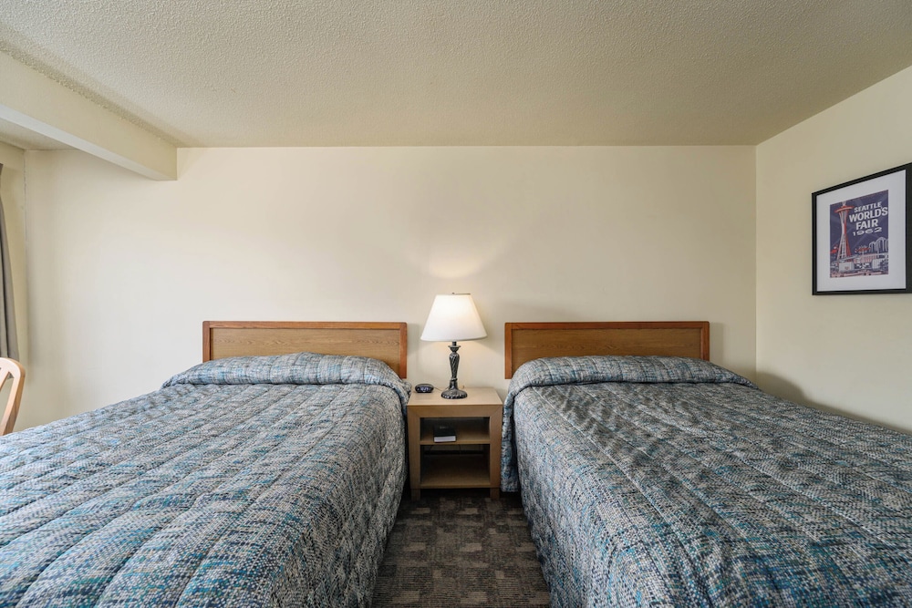 Cocusa Motel - photo 19