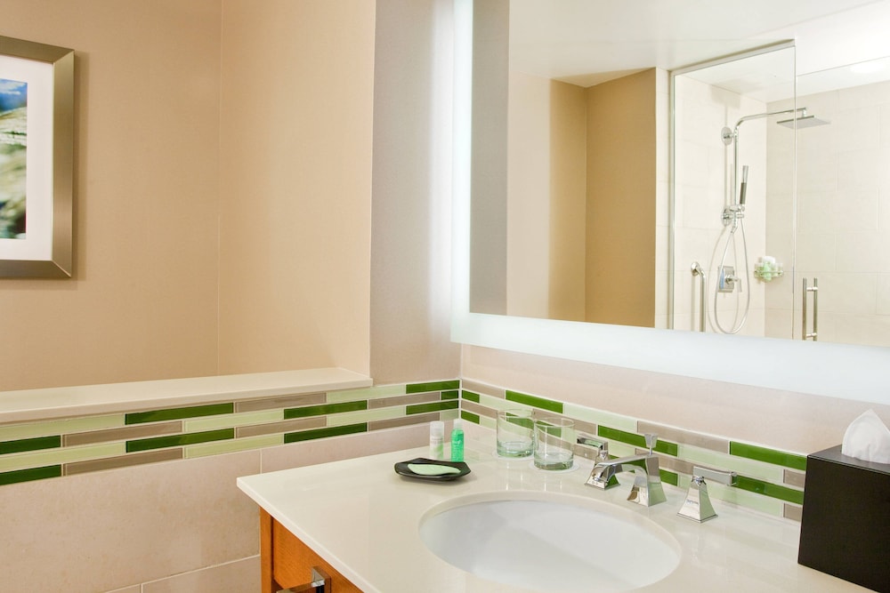 The Westin Washington Dulles Airport - photo 9