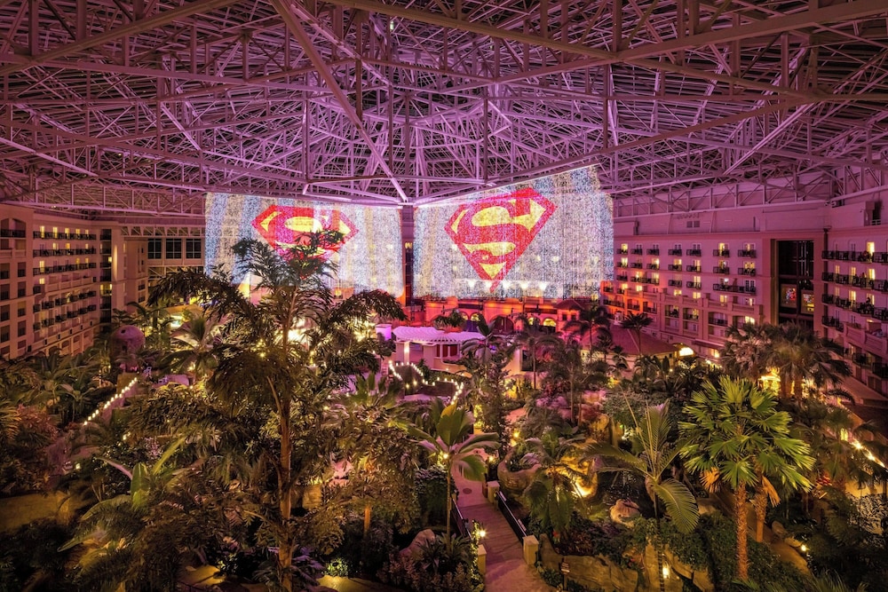 Gaylord Palms Resort & Convention Center - photo 61