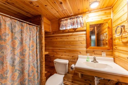 Cabin O' Pines A Family Friendly Resort - photo 19