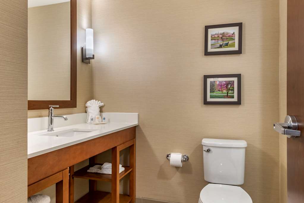 Comfort Suites Camp Hill Harrisburg West - photo 10
