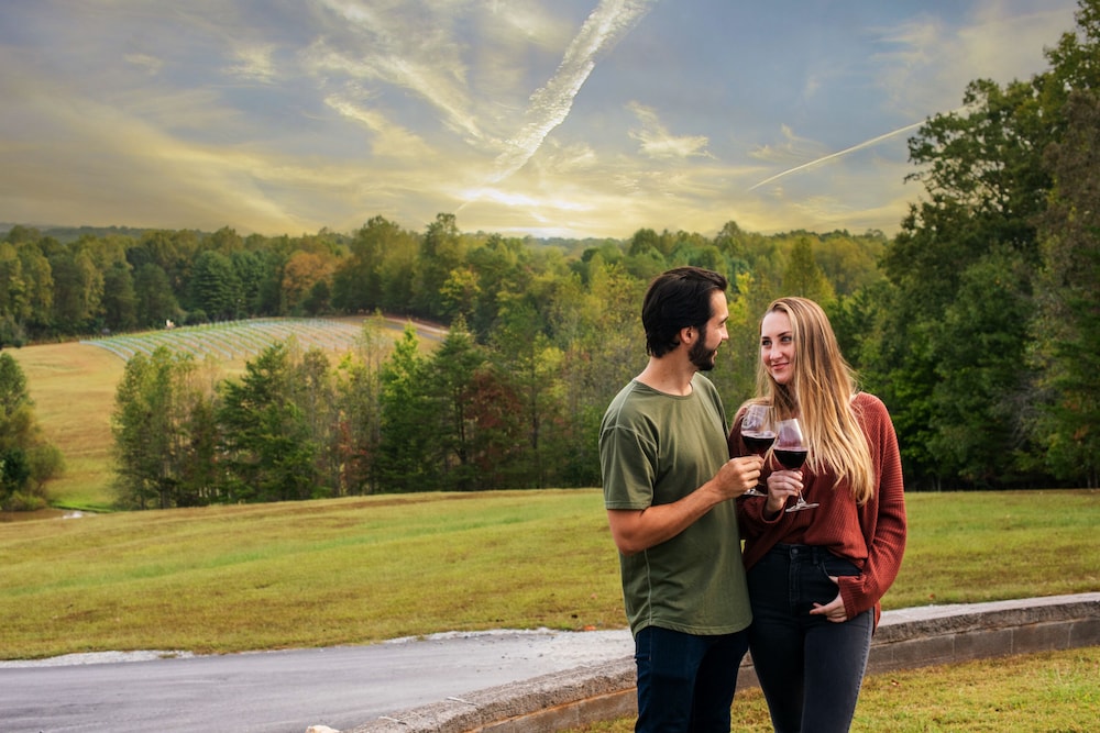 Dahlonega Resort and Vineyard - photo 49