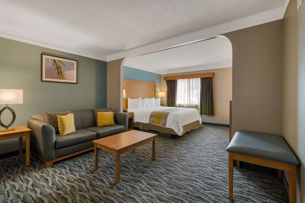 Best Western PLUS Executive Court Inn & Conference Center - photo 45