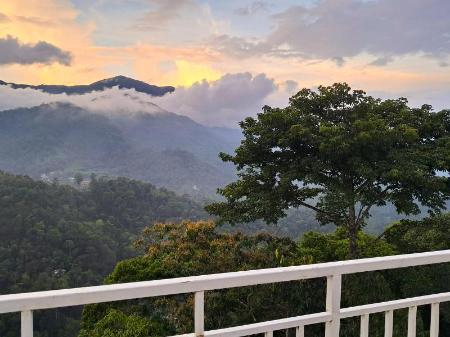 Palmtree Leaf - carbon neutral hotel in Munnar