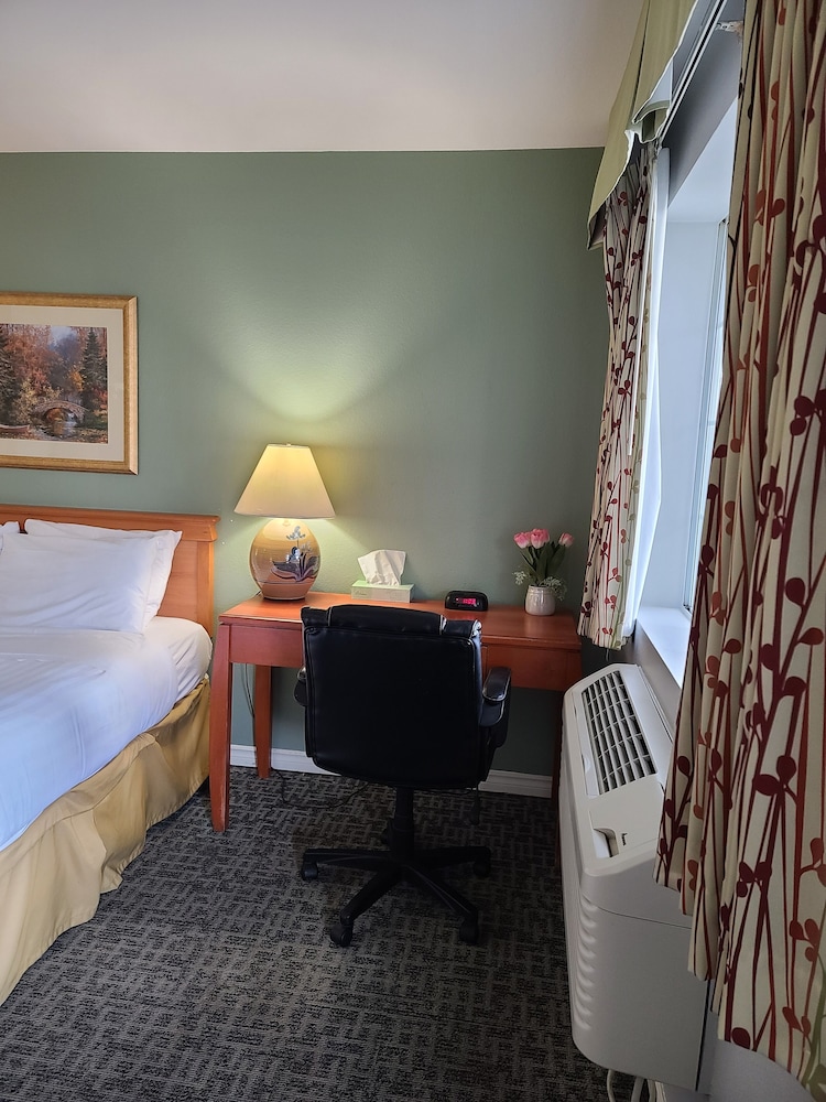 Tulip Inn - photo 20