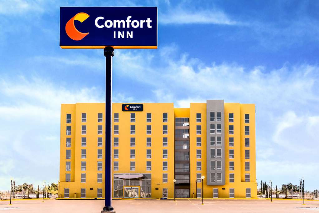 Comfort Inn Delicias — Ciudad Delicias — photo 2