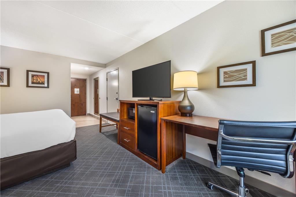Comfort InnSuites ChattanoogaWest Lookout Mountain - photo 9