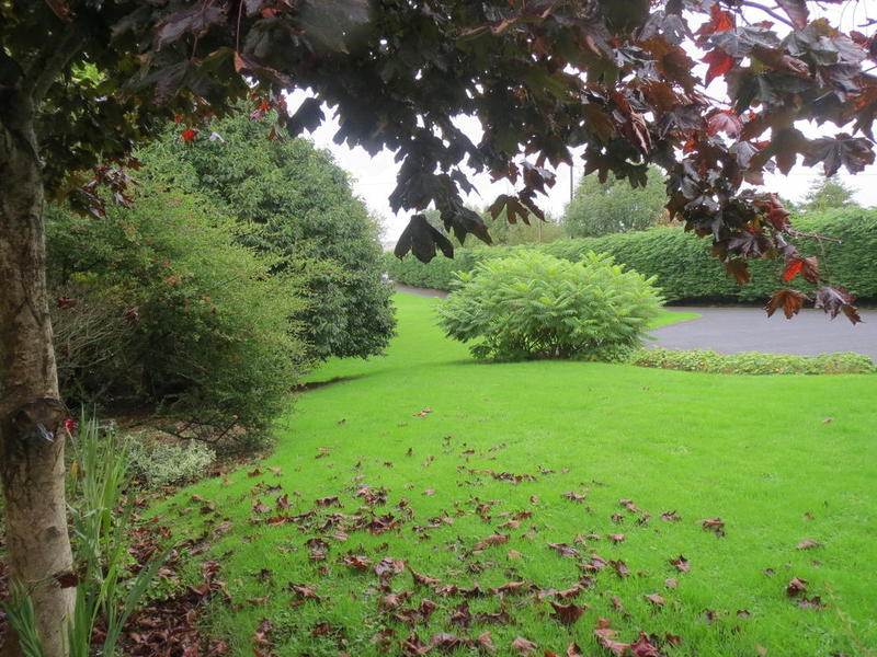 Abbey View in Gaillimh, Republic of Ireland