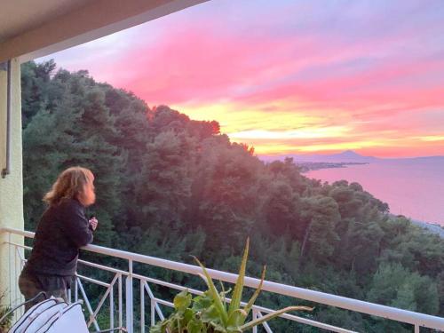 Amfiteatrico Sea View Oropos Attiki pet-friendly hotel Markopoulo Oropou
