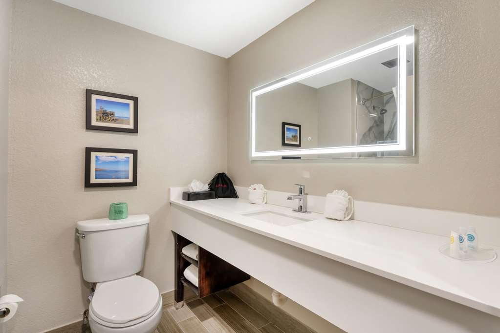 Comfort Suites West Jacksonville - photo 6