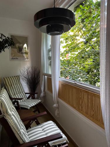 Cactus Apartment Boho Comfort — 4-Star Luxury Hotel in Bucharest, Romania