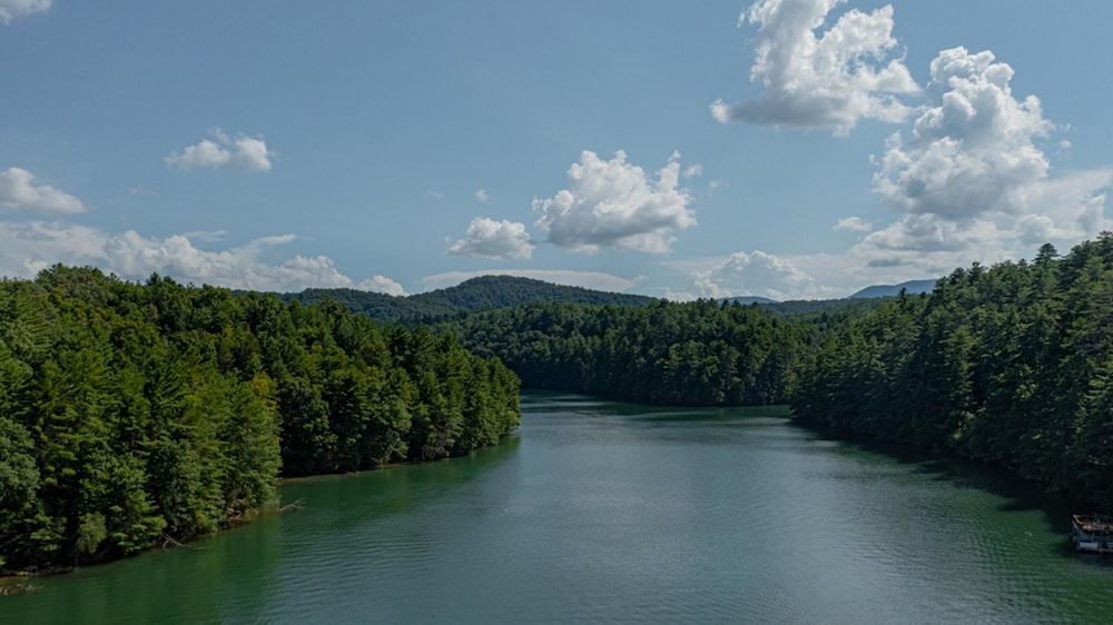 Magnolia Bay