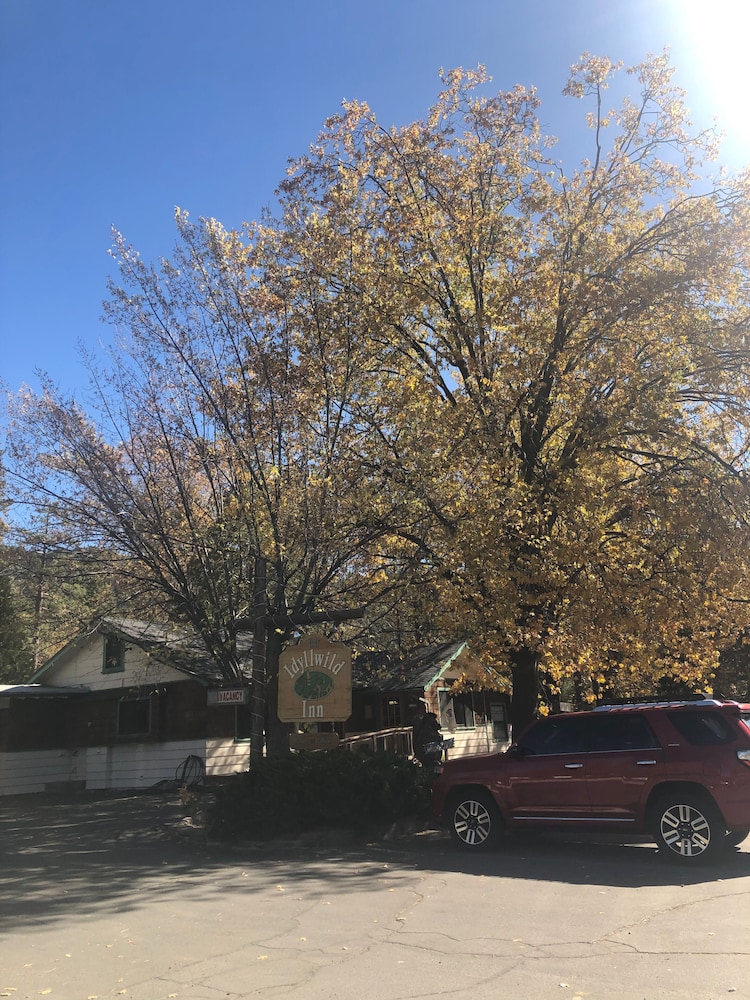 Idyllwild Inn - photo 234