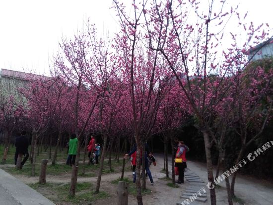 Guiyang Guida Time Inn - carbon neutral hotel in Guiyang