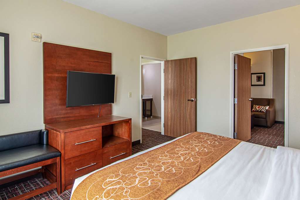 Comfort Suites NW Dallas Near Love Field - photo 22