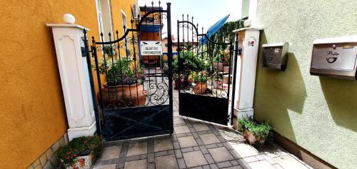 Apartment Luna — Ptuj — photo 5