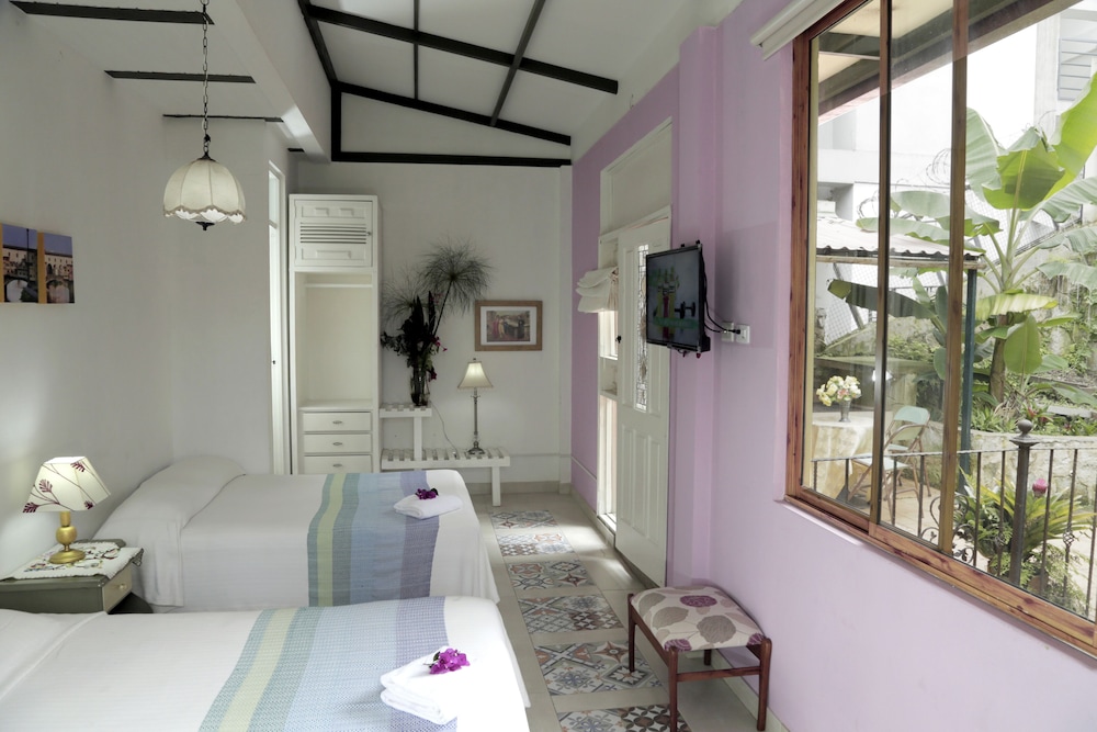 Posada Las Bromelias — hotel in Silvania