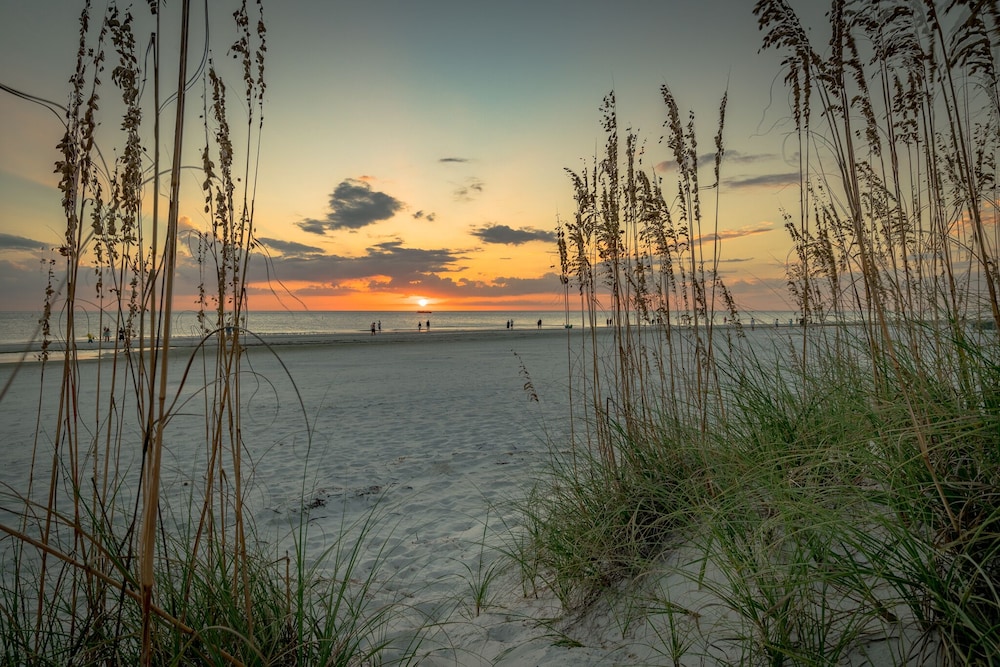Hemingway Dream - photo 4