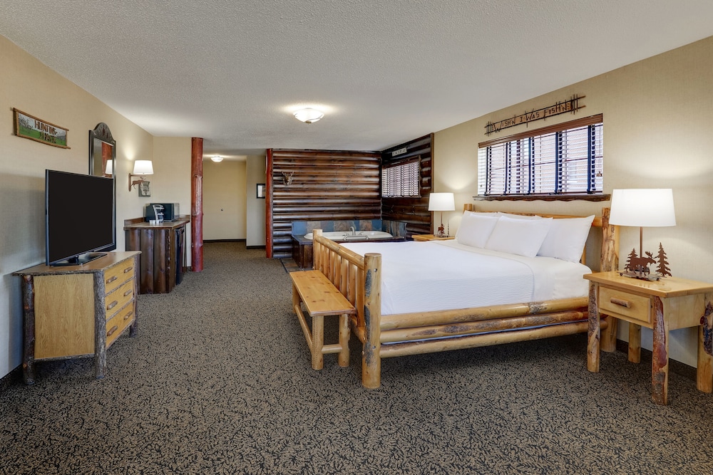 Stoney Creek Hotel Quad Cities Moline - photo 31