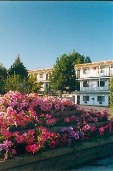 Rimview Inn - photo 3