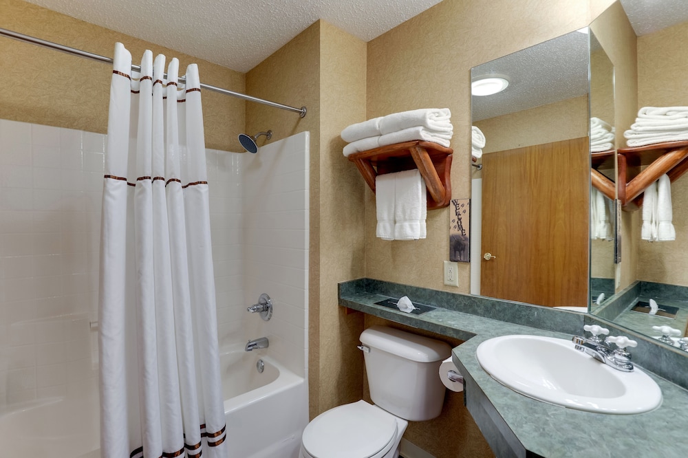 Stoney Creek Hotel Peoria - photo 27
