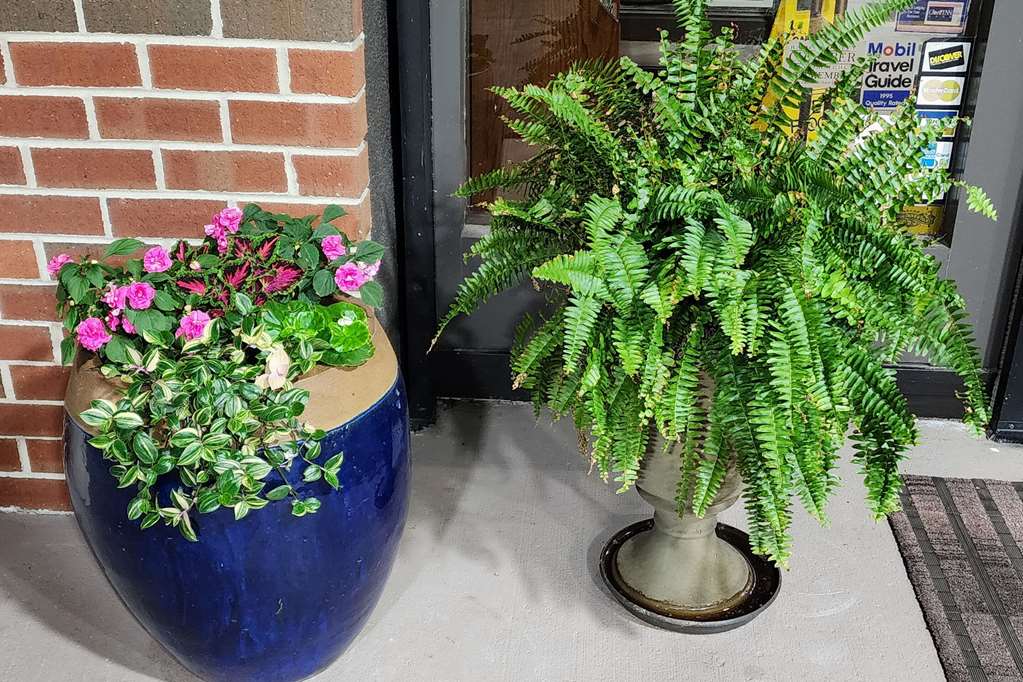 Quality Inn Dublin I 81 - photo 5