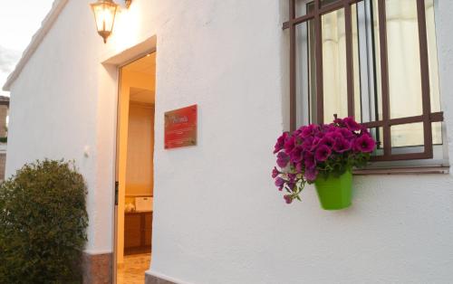 La Miranda in Tortosa, Spain