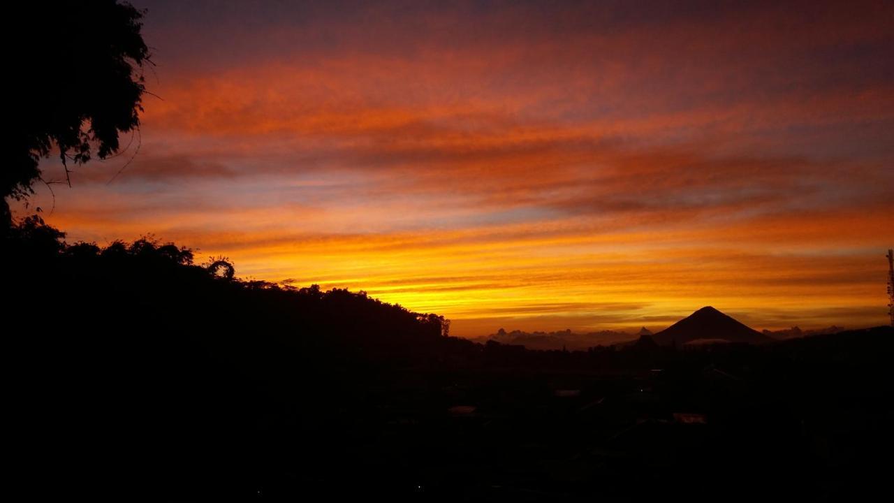 Bajawa Roo Hotel — hotel in Bajawa