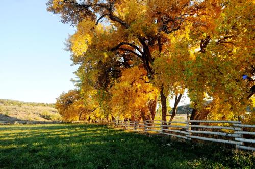 Canyon Of The Ancients Guest Ranch - photo 34