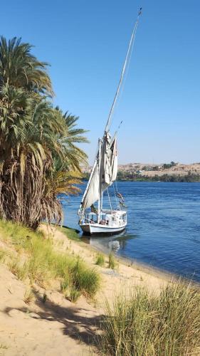 Mama Africa Felucca in Aswan, Egypt