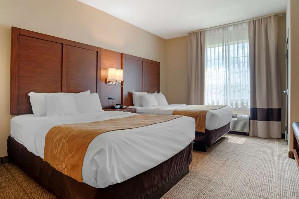 Comfort Suites Alexandria North - photo 19