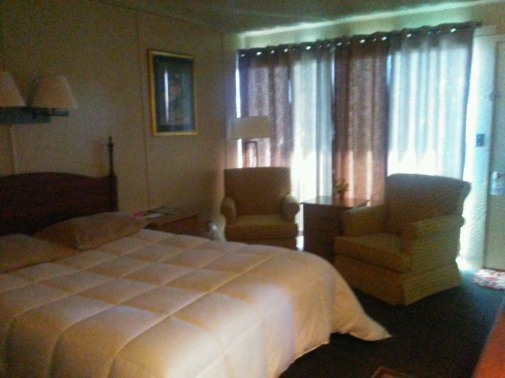 Dave's Hideaway - photo 7