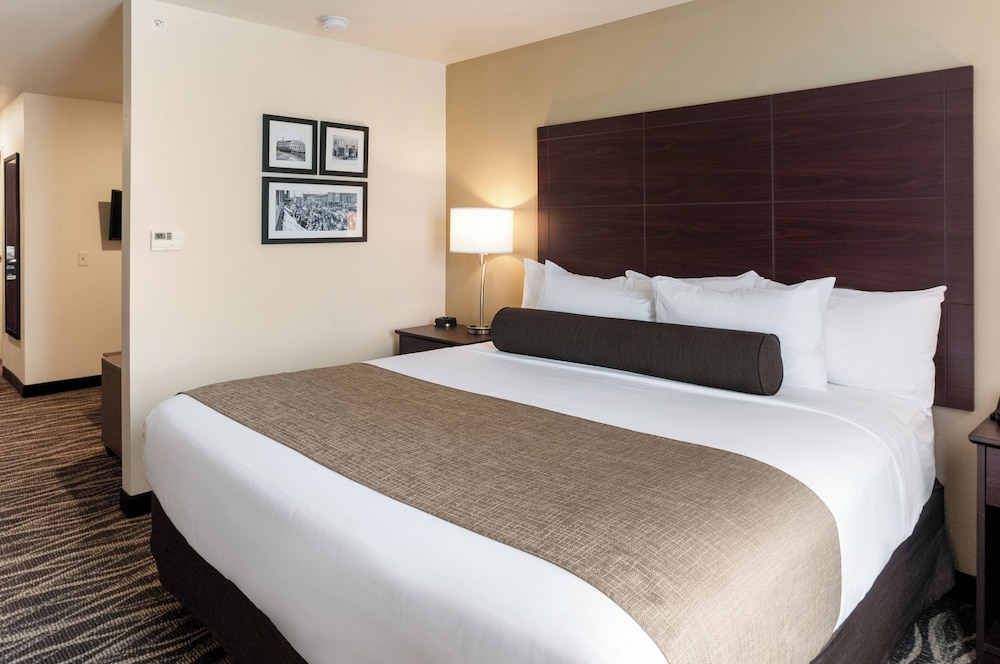 Cobblestone Hotel & Suites Appleton International Airport - photo 18