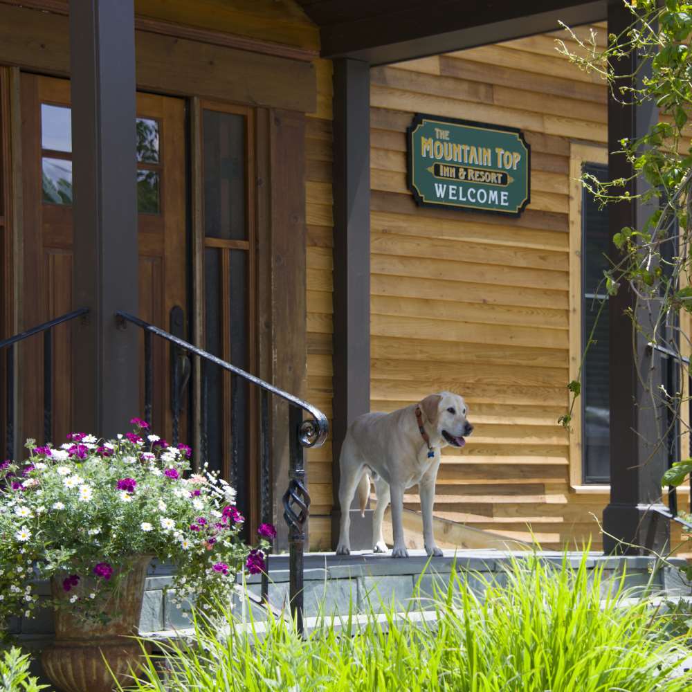 The Mountain Top Inn & Resort - photo 6