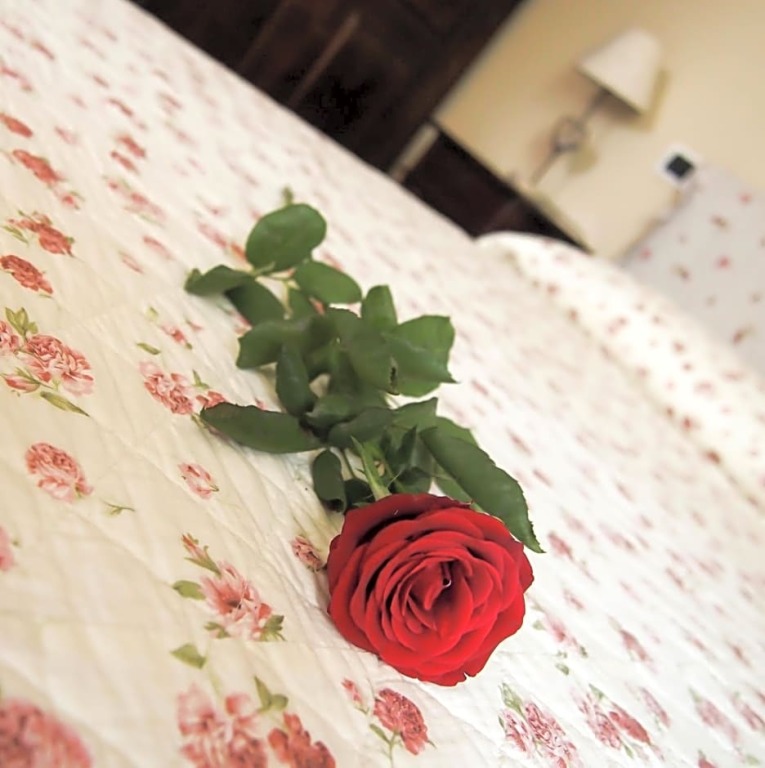 Bed And Bikers - carbon neutral hotel in Riano