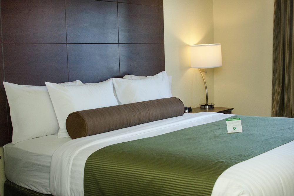 Cobblestone Inn & Suites Soda Springs - photo 16