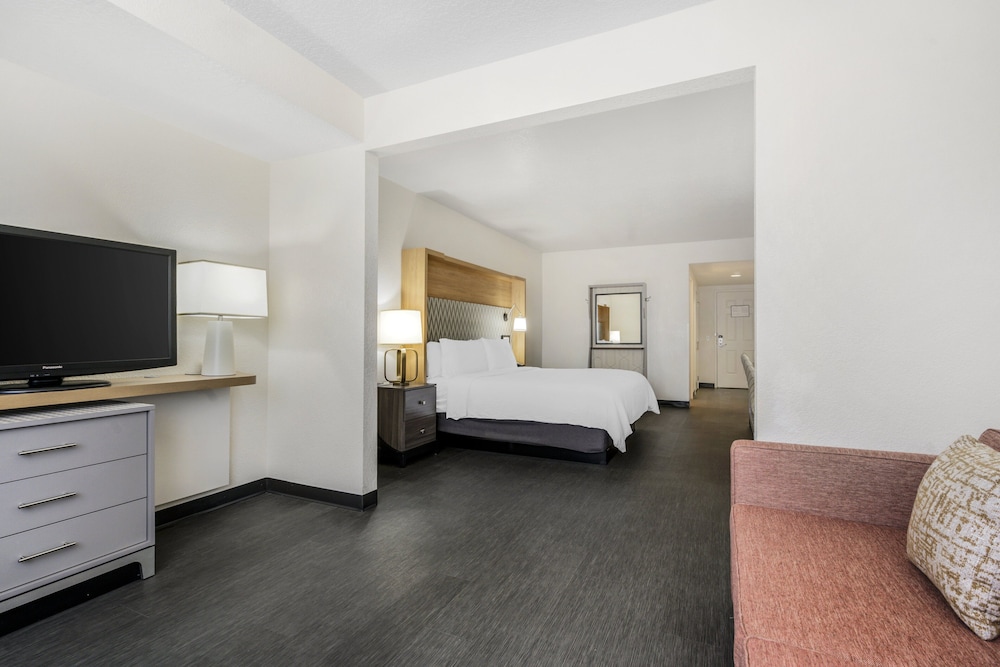 Holiday Inn Orlando International Dr ICON by IHG - photo 25