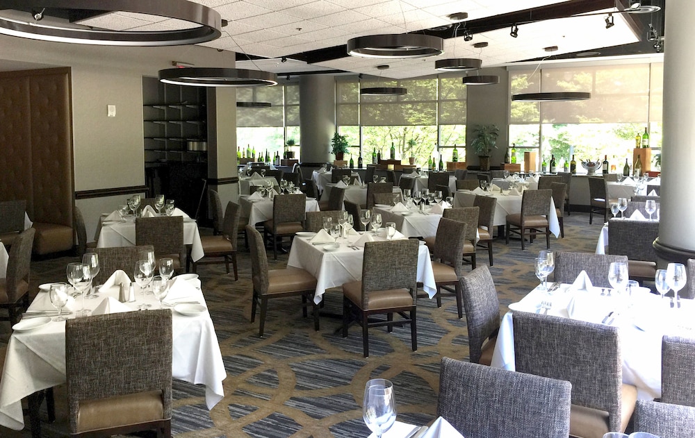 Embassy Suites by Hilton Atlanta at Centennial Olympic Park - photo 49