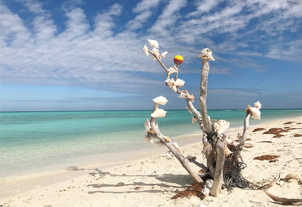 Coral Cove - photo 8