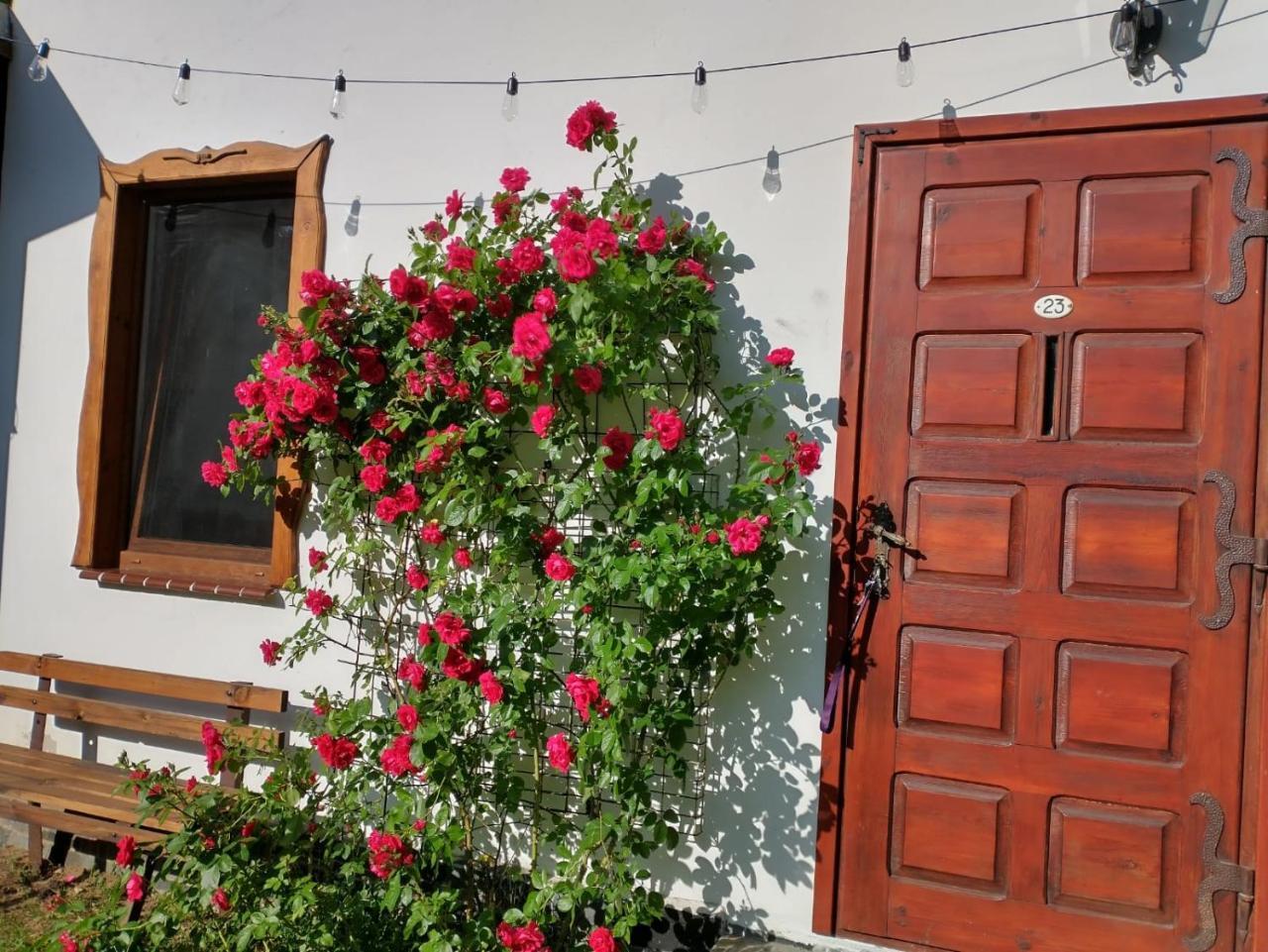 Wigierska Chatka - last minute hotel in Unknown City