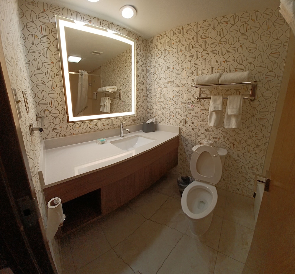 Holiday Inn McAllen Medical Center Area an IHG Hotel - photo 24