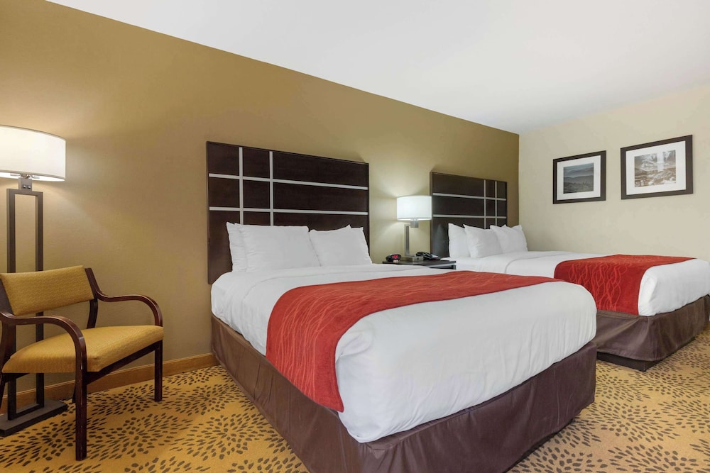 Comfort Inn North of Asheville - photo 40
