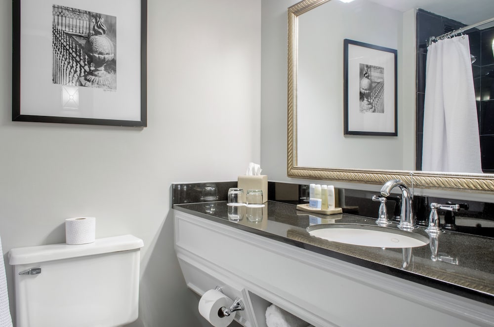 The Riverfront Hotel New Orleans - photo 39