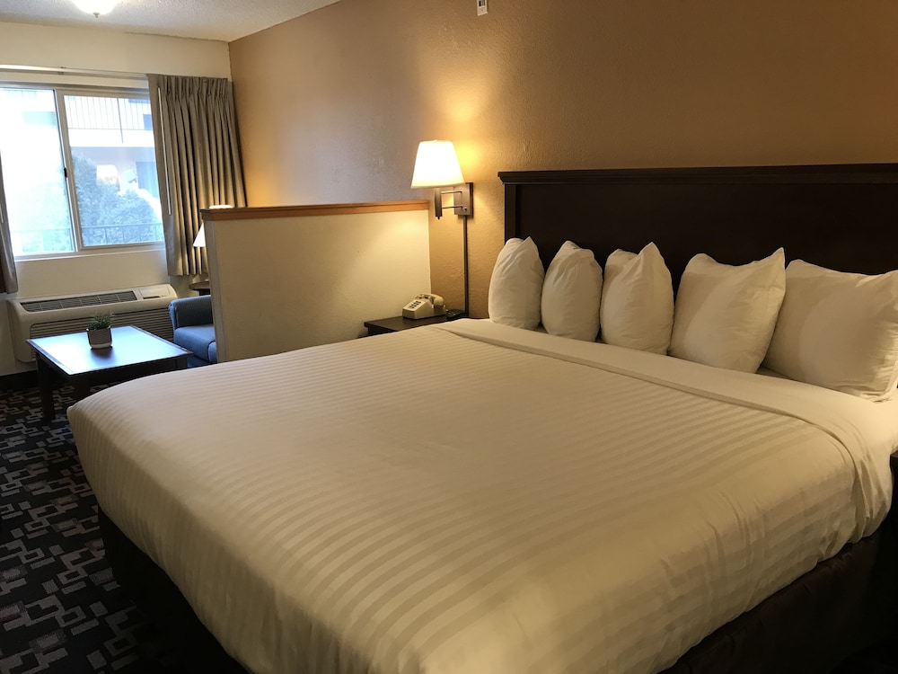 MorningGlory Inn & Suites - photo 10