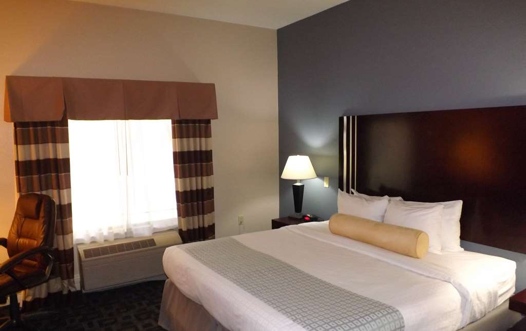 Best Western Plus Kalamazoo Suites - photo 11