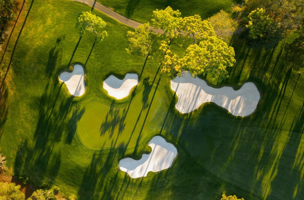 Innisbrook Resort - photo 14